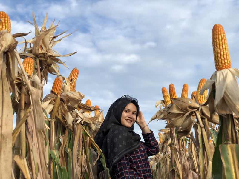 Desy Rahmalia profile icon