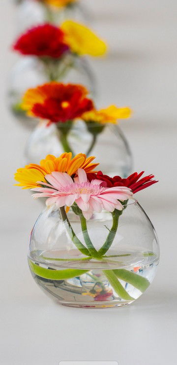 Mama Bahagia profile icon