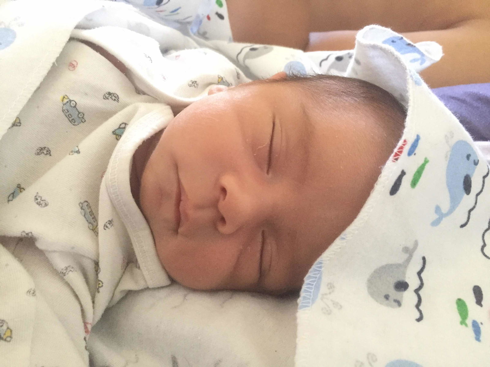 Ella Nicolas profile icon