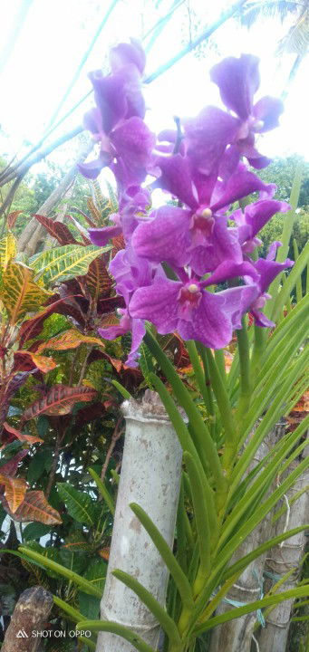 Catherine Talamante profile icon