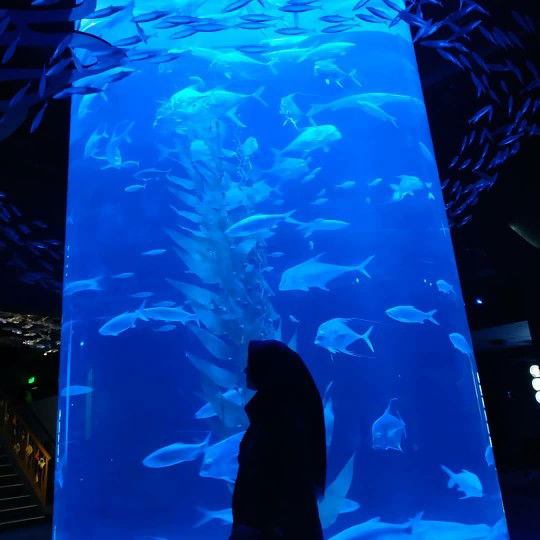 Kezia Mega Ramba profile icon