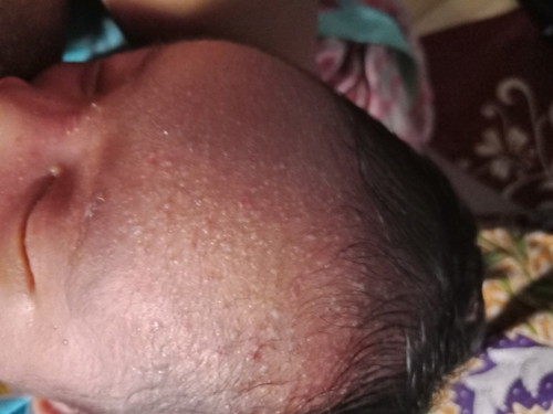 newborn