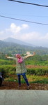 Ardian Andriani profile icon