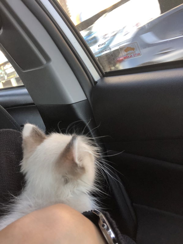 nongkhunkhun profile icon