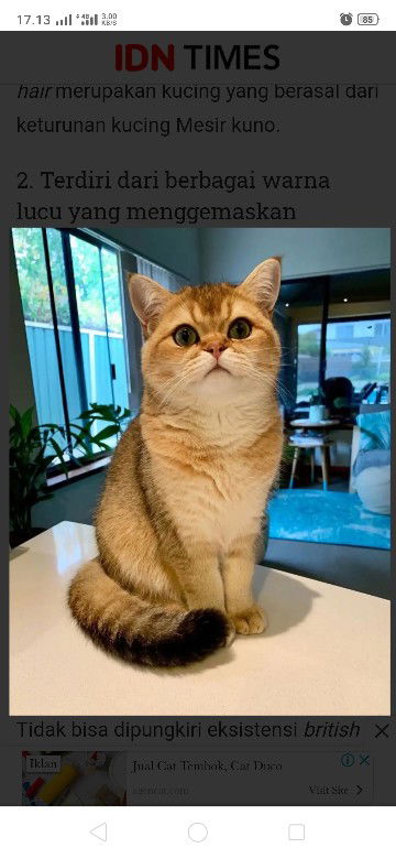 Sari liana profile icon