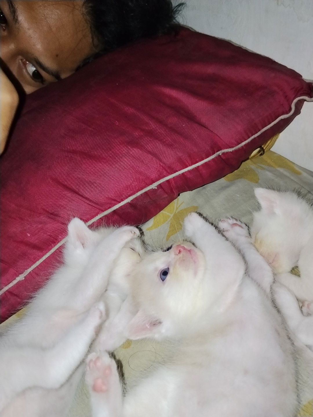 anastasya putri profile icon