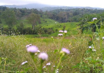 adinda Putri profile icon