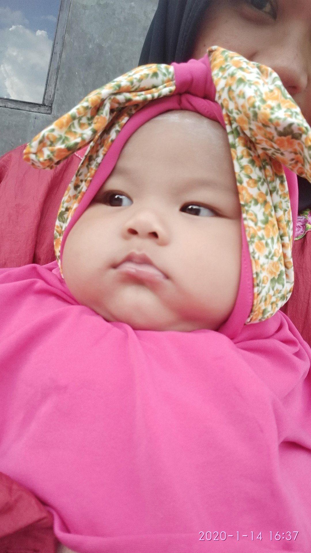 makan duren bahaya gak sih buat ibu lagi menyusi