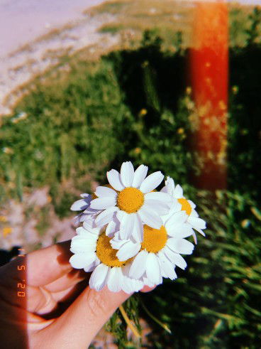 Pradina Putri profile icon