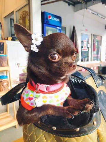 น้องตะวัน profile icon