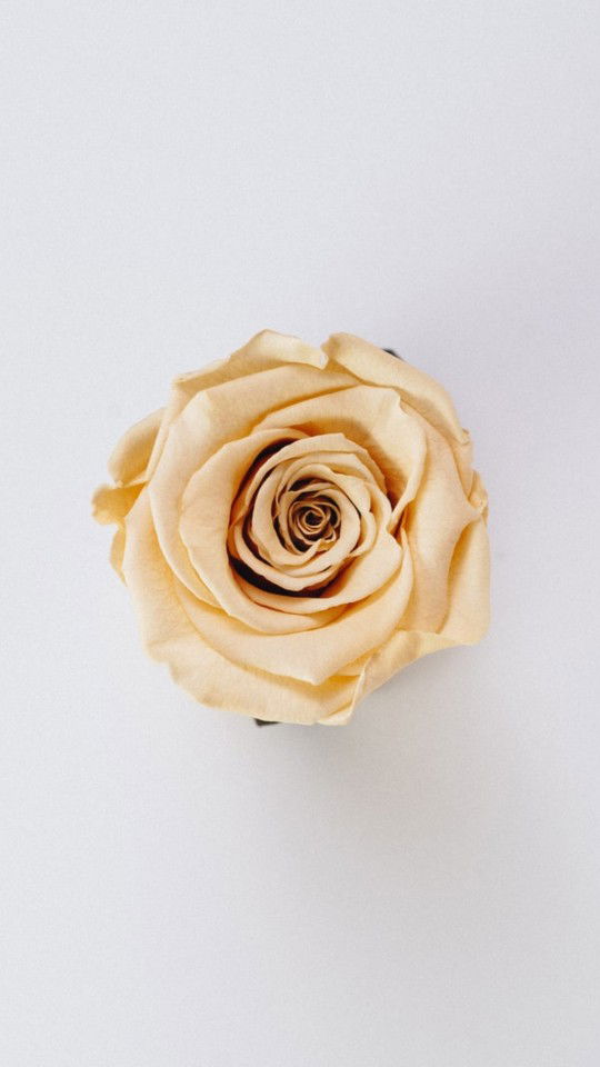 Nursalinah profile icon