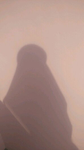 Nurholizah profile icon