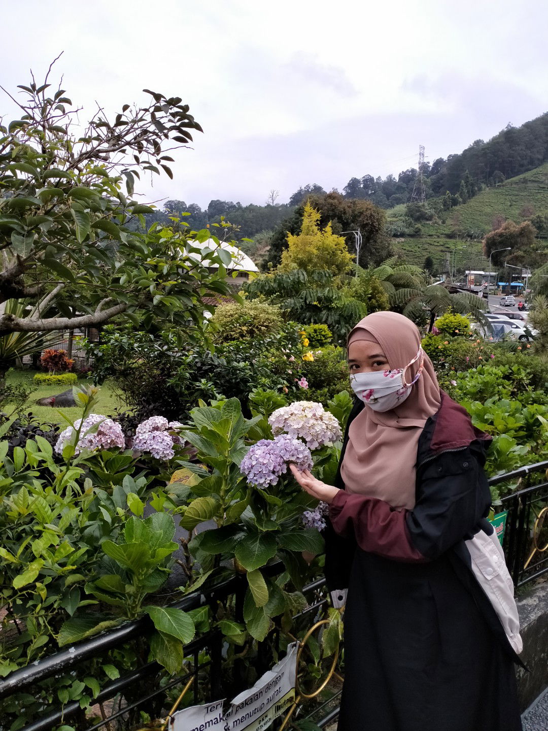 umma zahlein profile icon