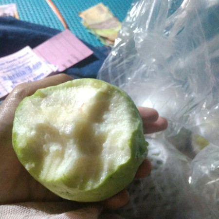 jambu kristal
