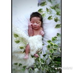 Rina profile icon