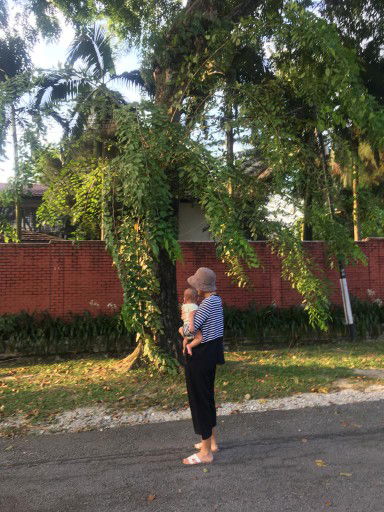 AmiraAshikin profile icon