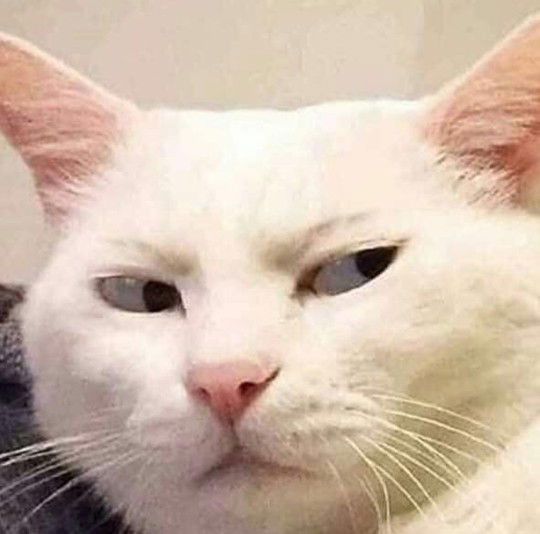 almahyra profile icon