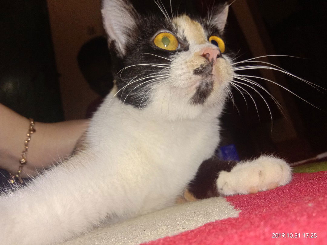 nadia asyera profile icon