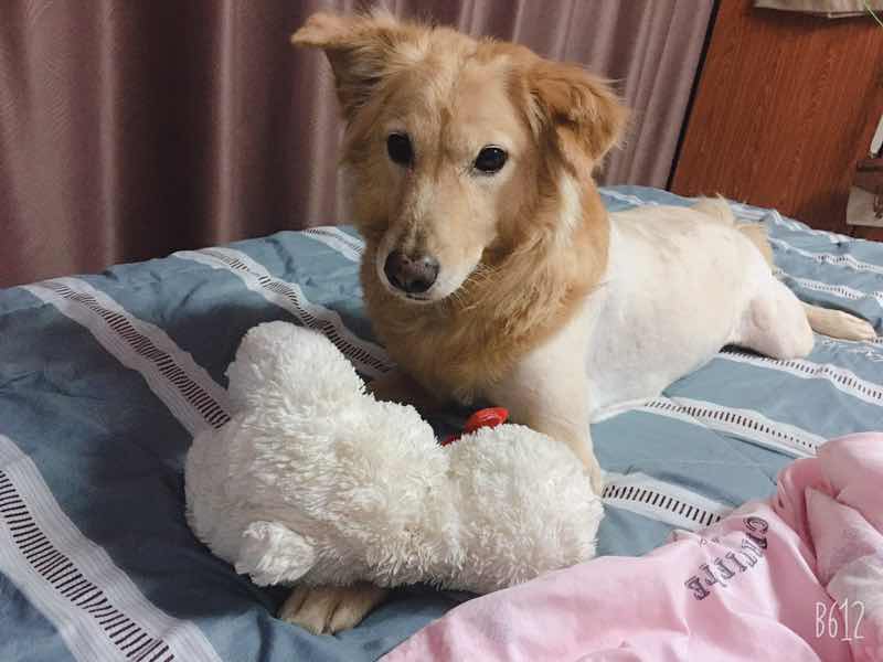 ทาโร่จะมีน้องแล้ว❤️ profile icon