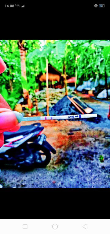 Sri Handayani profile icon