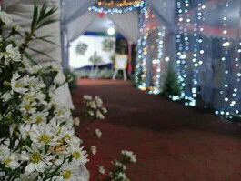 ชุติมา profile icon