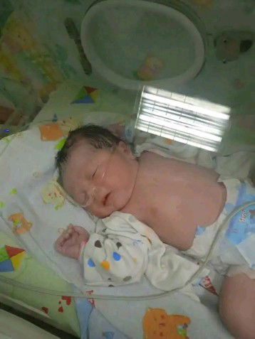 Fatimah Azahra profile icon