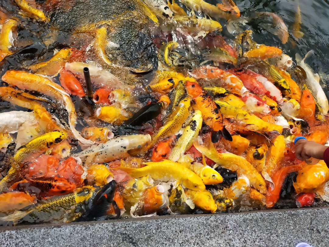 อาเนอร์.❤️ profile icon