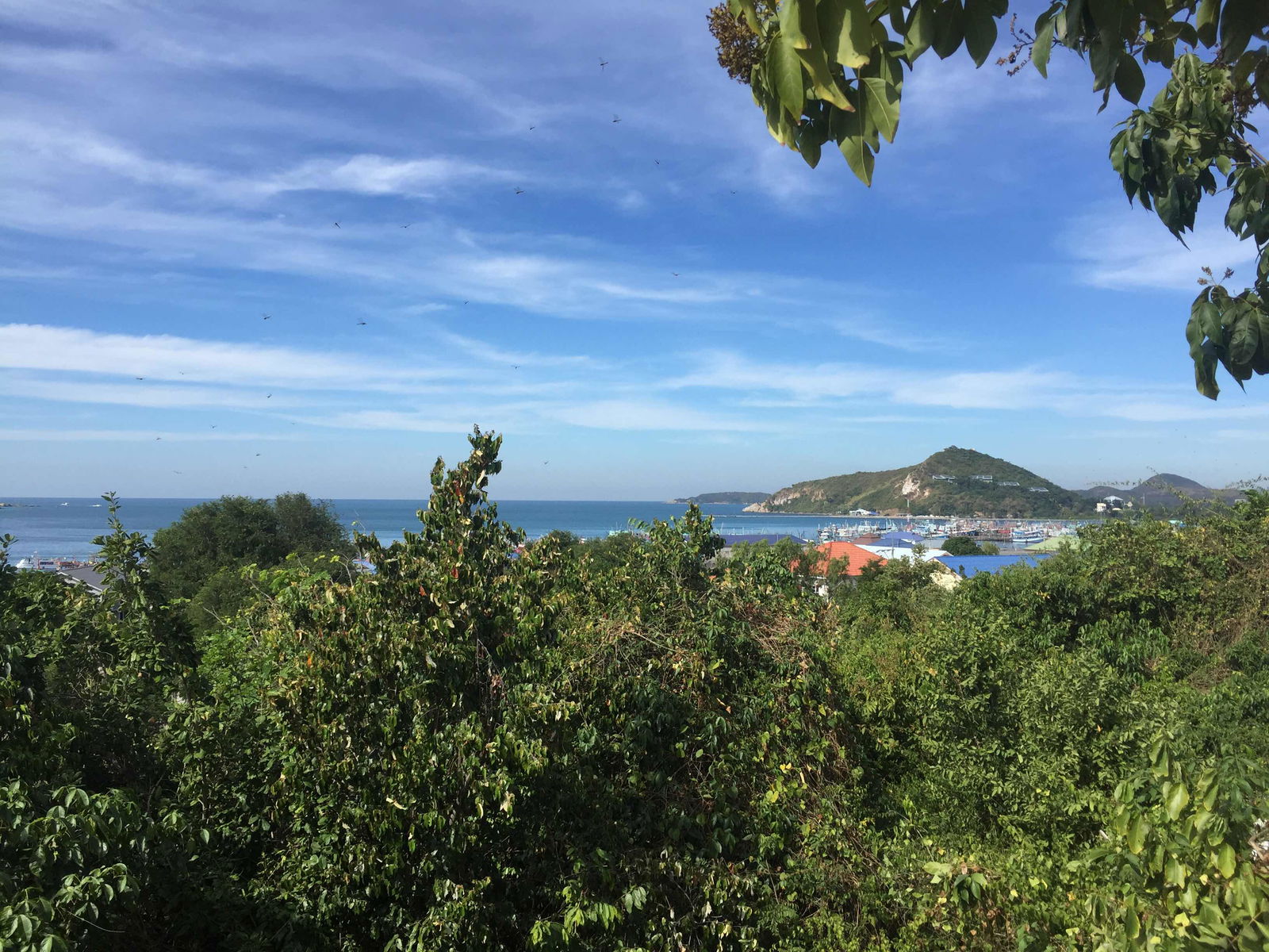 Suthinan Hongsaluek profile icon