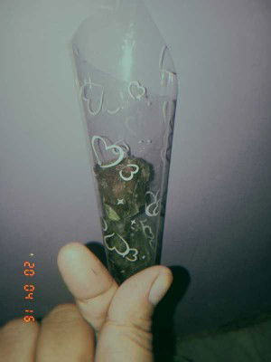 AprilLia Trulala profile icon