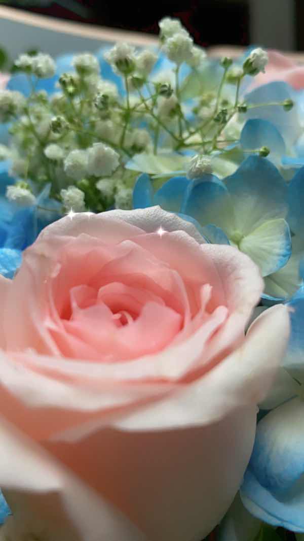 luksuma kaewjai profile icon