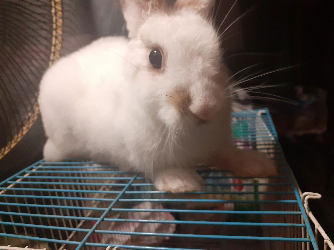 ม๊ามิ ♥️ เบบี้เกิร์ล profile icon