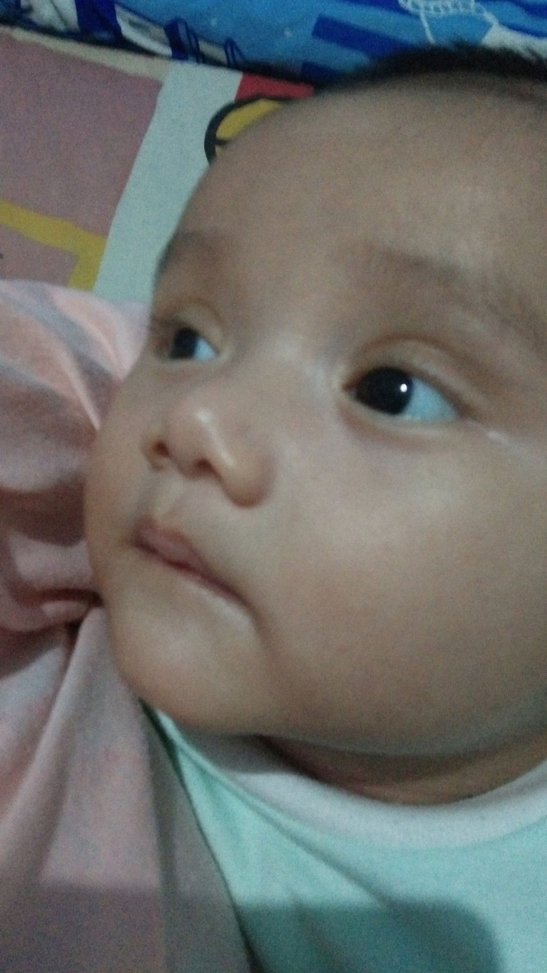 evi madalena profile icon