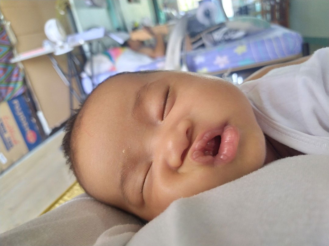 crispy octopus profile icon