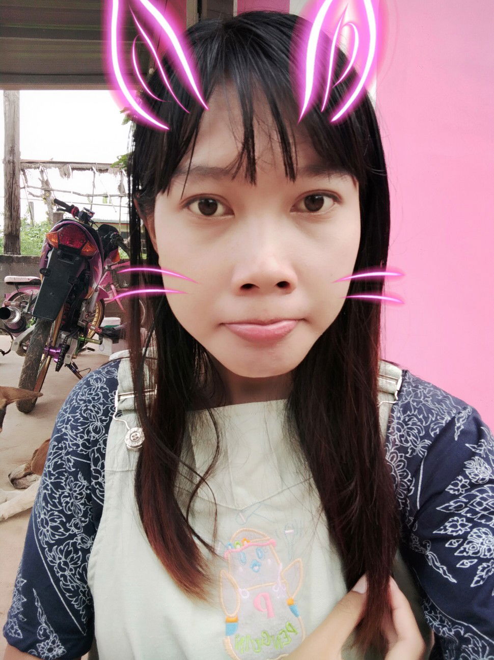 หนามเตย profile icon