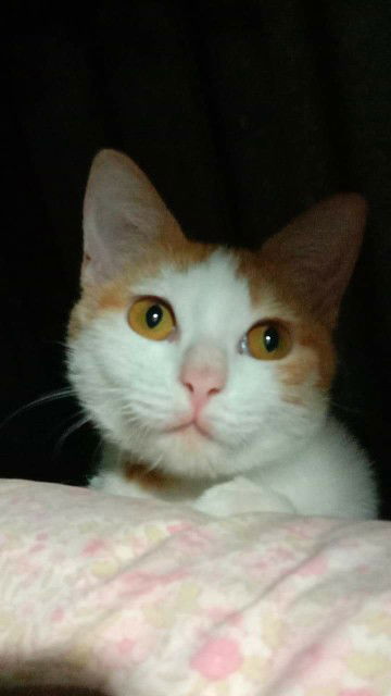 เเป้ง' เเป้งง profile icon