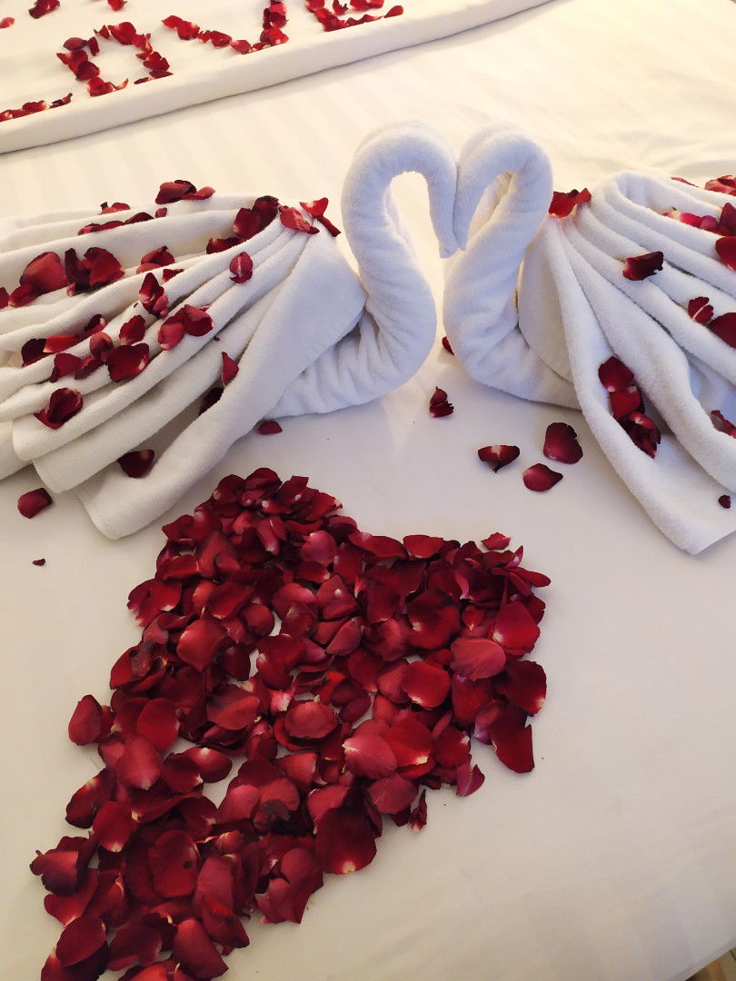 veralline profile icon