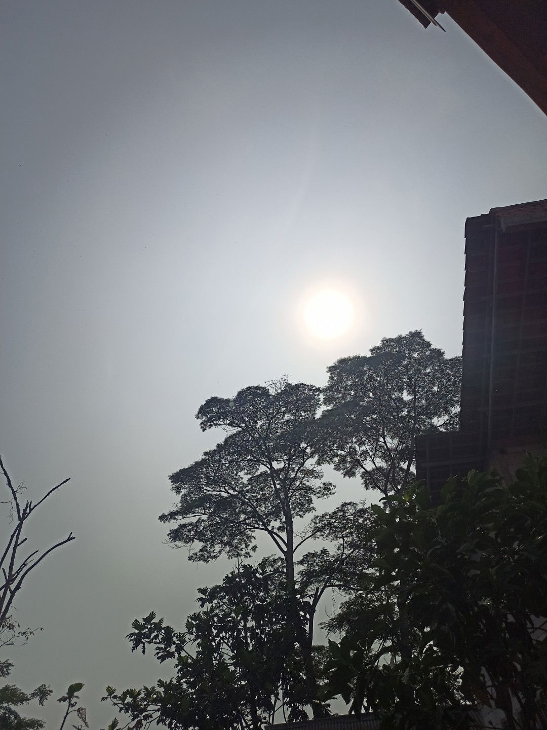 Octavia Nur Fadilla profile icon