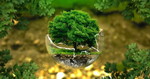 Dea profile icon