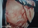 nurulshamimie binti mat zohit profile icon