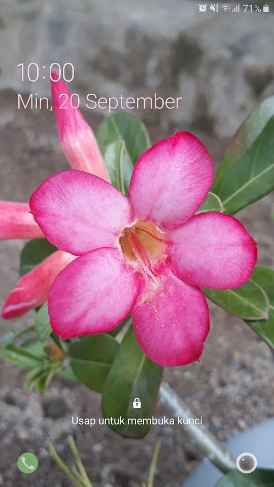 Nur Sakina profile icon