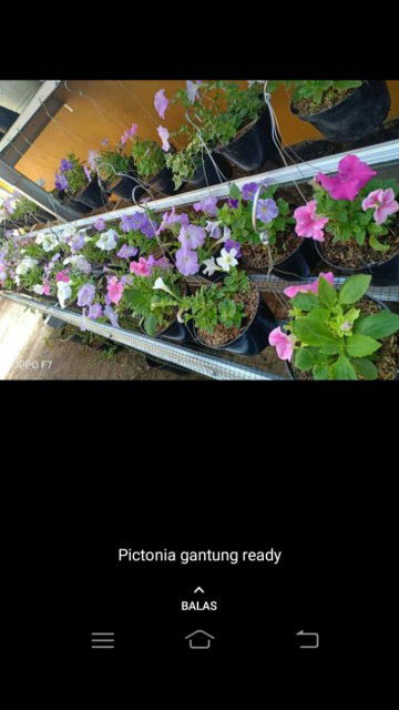 Nur Handayani profile icon