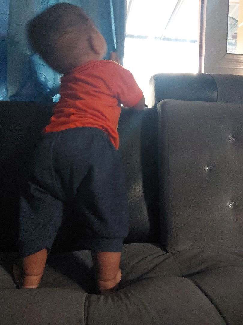 zidanAl profile icon