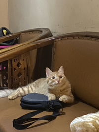 deasy ersya profile icon