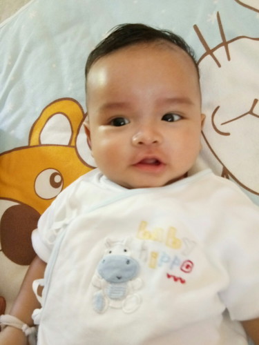 ลูกคว่ำตอนกี่เดือน
