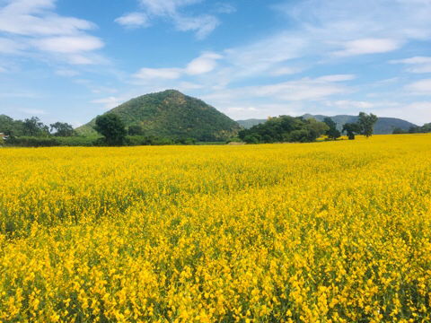 นัด profile icon