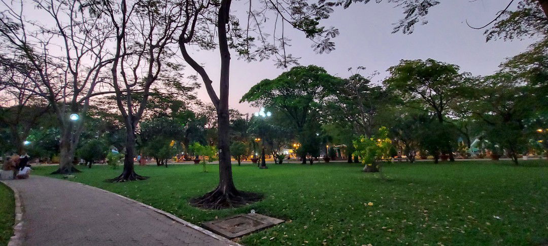 Phương kiwi profile icon