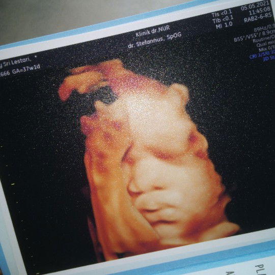 Tari Ramdani profile icon