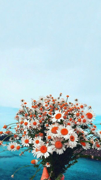 Nirma Oktaviani profile icon