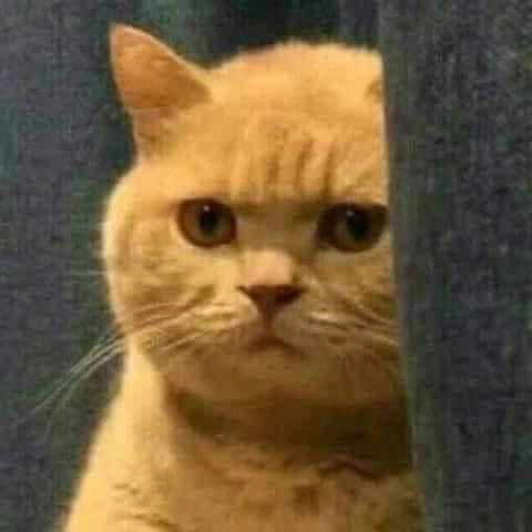 nonpiant?? profile icon