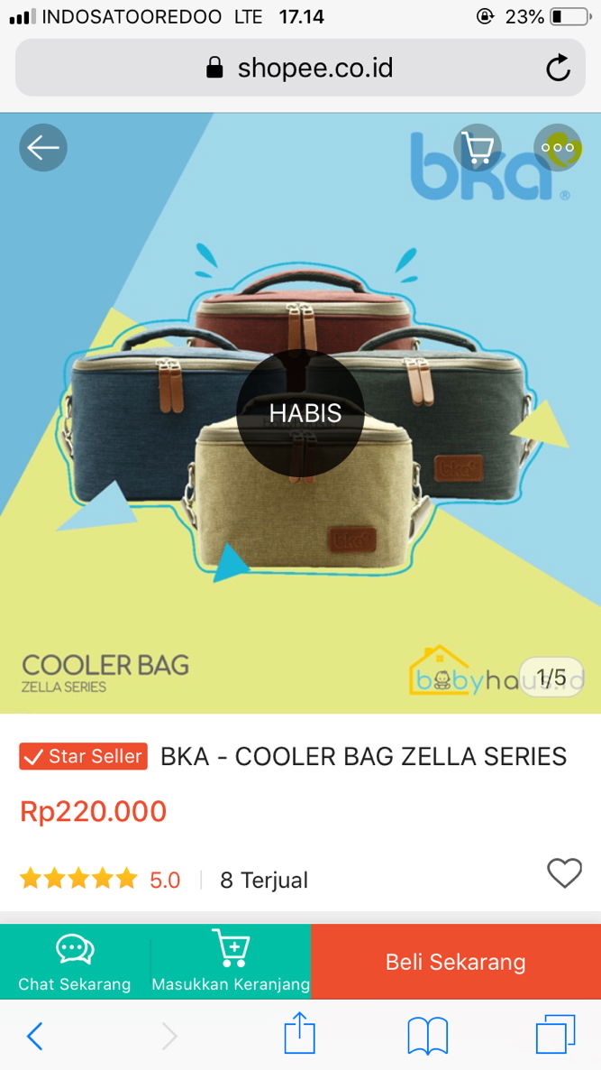 Cooler Bag